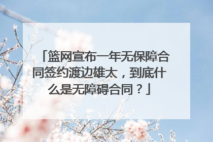篮网宣布一年无保障合同签约渡边雄太，到底什么是无障碍合同？