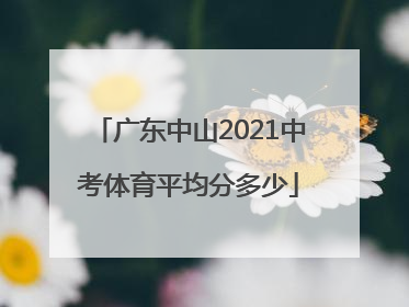 广东中山2021中考体育平均分多少