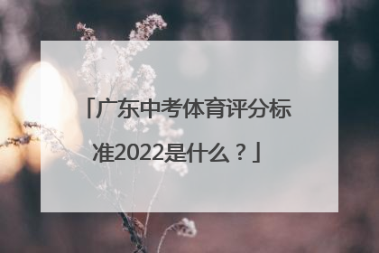 广东中考体育评分标准2022是什么？