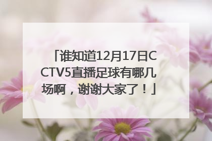 谁知道12月17日CCTV5直播足球有哪几场啊，谢谢大家了！