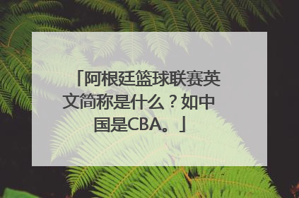 阿根廷篮球联赛英文简称是什么？如中国是CBA。