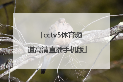 「cctv5体育频道高清直播手机版」cctv5体育频道下载手机版