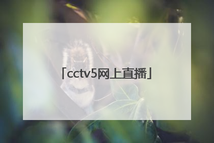 「cctv5网上直播」cctv5网上直播看不了