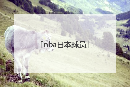 「nba日本球员」NBA日本球员在哪个球队