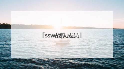 「ssw战队成员」ssw战队成员介绍