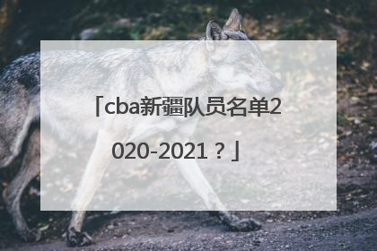 cba新疆队员名单2020-2021？